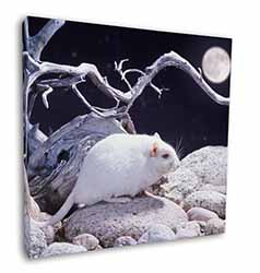 White Gerbil Square Canvas 12"x12" Wall Art Picture Print