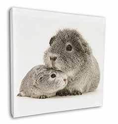 Silver Guinea Pigs Square Canvas 12"x12" Wall Art Picture Print