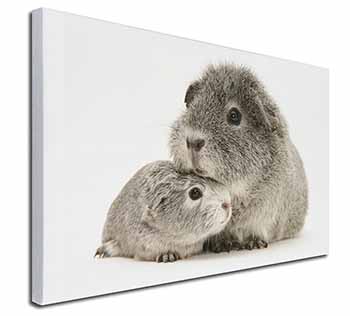 Silver Guinea Pigs Canvas X-Large 30"x20" Wall Art Print