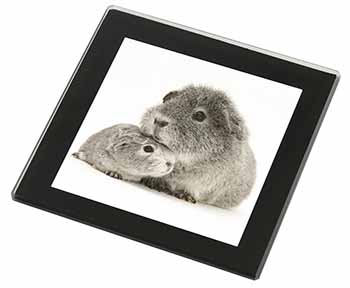 Silver Guinea Pigs Black Rim High Quality Glass Coaster