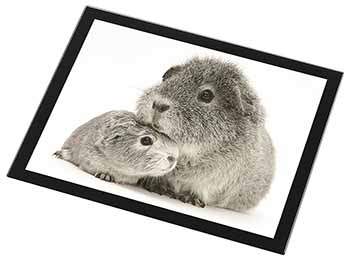 Silver Guinea Pigs Black Rim High Quality Glass Placemat