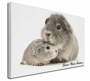 Silver Guinea Pigs 