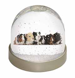 Baby Guinea Pigs Snow Globe Photo Waterball