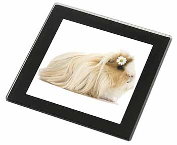 Flower in Hair Guinea Pig Black Rim High Quality Glass Coaster