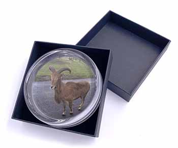 Cute Nanny Goat Glass Paperweight in Gift Box