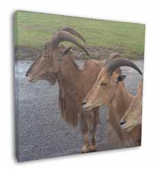 Three Cheeky Goats Square Canvas 12"x12" Wall Art Picture Print