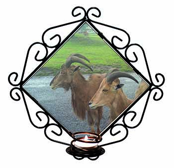 Three Cheeky Goats Wrought Iron Wall Art Candle Holder