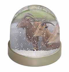 Three Cheeky Goats Snow Globe Photo Waterball