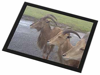 Three Cheeky Goats Black Rim High Quality Glass Placemat