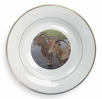 Three Cheeky Goats Gold Rim Plate Printed Full Colour in Gift Box