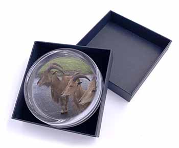 Three Cheeky Goats Glass Paperweight in Gift Box