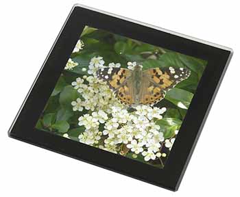 Painted Lady Butterfly Black Rim High Quality Glass Coaster