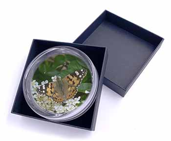 Painted Lady Butterfly Glass Paperweight in Gift Box