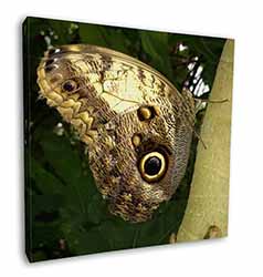 Owl Butterfly on Tree Square Canvas 12"x12" Wall Art Picture Print