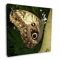 Owl Butterfly on Tree Square Canvas 12"x12" Wall Art Picture Print