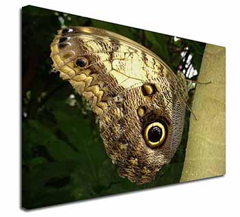 Owl Butterfly on Tree Canvas X-Large 30"x20" Wall Art Print