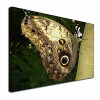 Owl Butterfly on Tree Canvas X-Large 30"x20" Wall Art Print