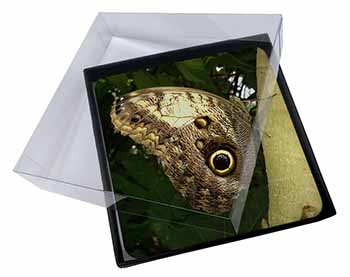 4x Owl Butterfly on Tree Picture Table Coasters Set in Gift Box