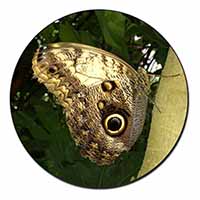 Owl Butterfly on Tree Fridge Magnet Printed Full Colour