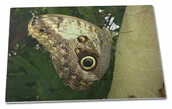 Large Glass Cutting Chopping Board Owl Butterfly on Tree