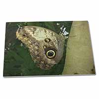 Large Glass Cutting Chopping Board Owl Butterfly on Tree