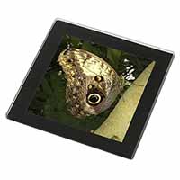 Owl Butterfly on Tree Black Rim High Quality Glass Coaster