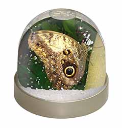 Owl Butterfly on Tree Snow Globe Photo Waterball