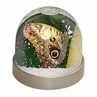 Owl Butterfly on Tree Snow Globe Photo Waterball