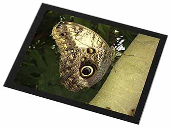 Owl Butterfly on Tree Black Rim High Quality Glass Placemat