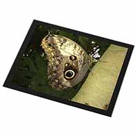 Owl Butterfly on Tree Black Rim High Quality Glass Placemat