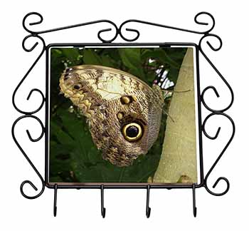 Owl Butterfly on Tree Wrought Iron Key Holder Hooks