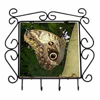 Owl Butterfly on Tree Wrought Iron Key Holder Hooks