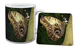 Owl Butterfly on Tree Mug and Coaster Set