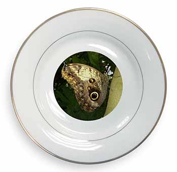 Owl Butterfly on Tree Gold Rim Plate Printed Full Colour in Gift Box