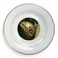 Owl Butterfly on Tree Gold Rim Plate Printed Full Colour in Gift Box