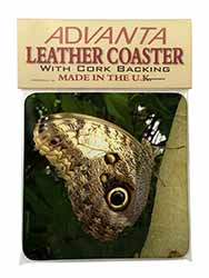 Owl Butterfly on Tree Single Leather Photo Coaster