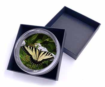 Pretty Black and Yellow Butterfly Glass Paperweight in Gift Box