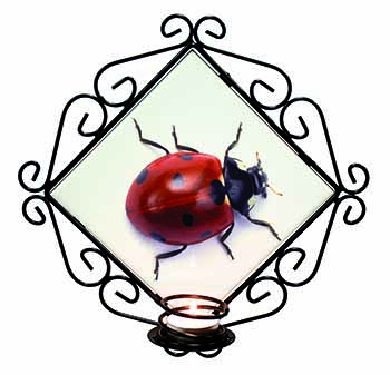 Close-Up Ladybird Print Wrought Iron Wall Art Candle Holder