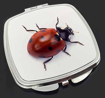 Close-Up Ladybird Print Make-Up Compact Mirror