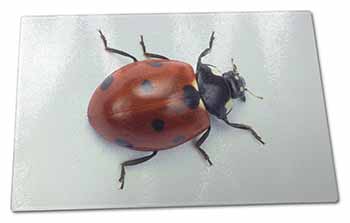 Large Glass Cutting Chopping Board Close-Up Ladybird Print