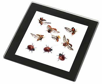 Flying Ladybirds Black Rim High Quality Glass Coaster