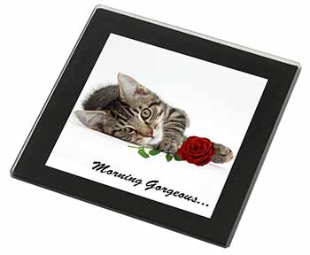 Kitten with Rose 