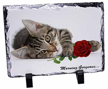 Kitten with Rose 