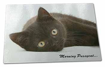 Large Glass Cutting Chopping Board Black Cat 