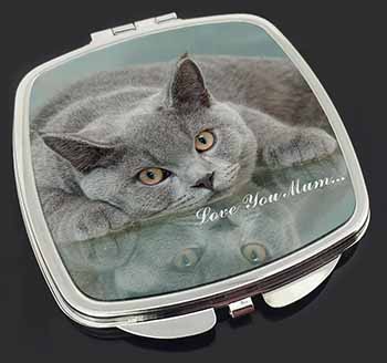 British Blue Cat 