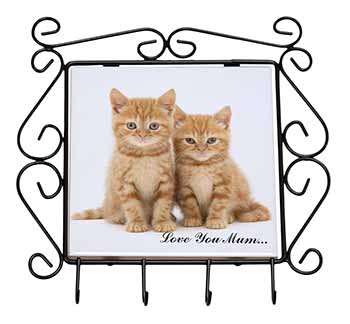 Ginger Kittens 