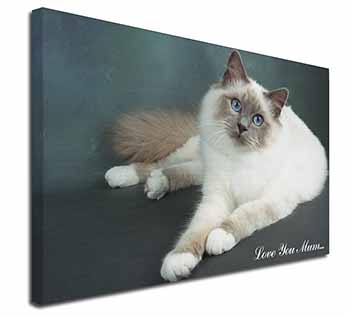 Birman Cat 