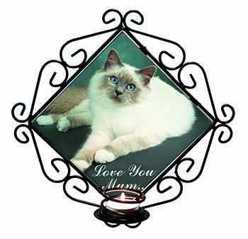 Birman Cat 