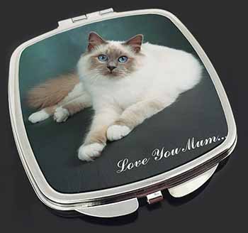 Birman Cat 