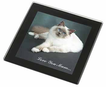 Birman Cat 